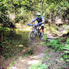 angy68 avatar