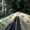 Pinkbike profile picture for @depth