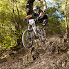 gofastcow avatar