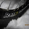 apexa avatar