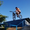 Dirtjumplive avatar