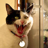 qwerty784 avatar