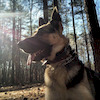 btalley avatar