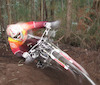 alexcerejo avatar