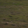Pinkbike profile picture for @Boost