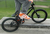 wpg-eastern-rider avatar
