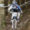 AliOlivier32 avatar