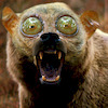 phil-schaffhauser avatar