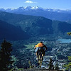Pinkbike profile picture for @staples
