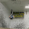Spower1234 avatar