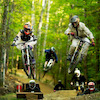realtreezracing avatar