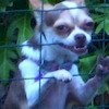 deletedacc123456789 avatar