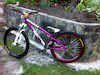 Thedirtbiker avatar