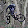 joestead avatar