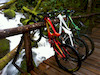 Pinkbike profile picture for @bank