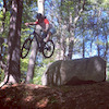 Hinghambmxrider avatar