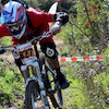 LuisPedro avatar