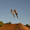 BrandonEinan avatar