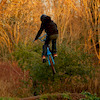 Dawson246 avatar