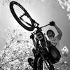 Sullymtb avatar