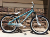 moobike13 avatar