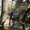 UTsingletrack avatar
