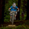 ewigstead avatar