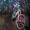 alvaronorco7 avatar