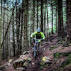 matt5311 avatar