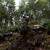 adamwoodhousee avatar