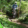 moulton15 avatar