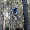 husabergforce avatar