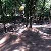 sax117 avatar