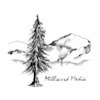 millwardmedia avatar