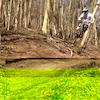 morexwillis avatar