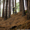 geesbikes avatar