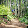 orrider184 avatar