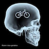 Iwillride avatar