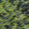 Pinkbike profile picture for @anybody