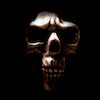 akdmks77 avatar
