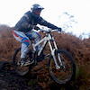 randywatson avatar