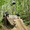 feralmotion avatar