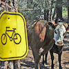 Bilbobike avatar