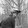 swaindog avatar