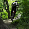 Dan11 avatar