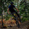 Ollie-Bhutani avatar