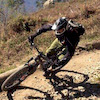 bole461 avatar
