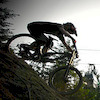 rumblefish255 avatar