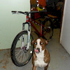 kona55riderr avatar
