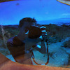 mtbkiwi avatar